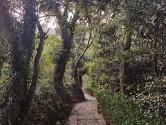 -桃花岛风景旅游区