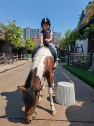 点击看大图 -宝燕乐园(闵行旗舰店)