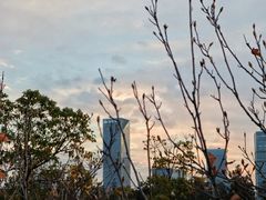 -艾溪湖湿地公园