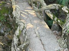 -赭山公园