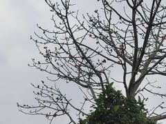 -侯臣咖啡文化村