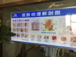 -痘研专业皮肤管理中心