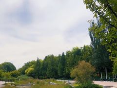 -大望京公园