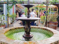 -The Grounds of Alexandria