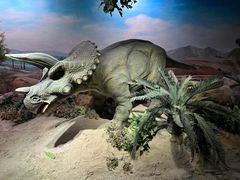 -国家自然博物馆