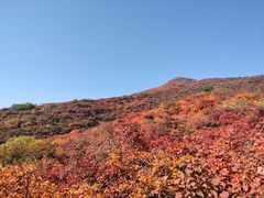 -周口店坡峰岭风景区
