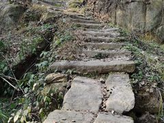-长沙黑麋峰国家森林公园