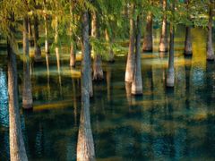 -麓湖高尔夫球俱乐部