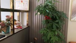 -Mamom club 慢会所(爱丁堡店)