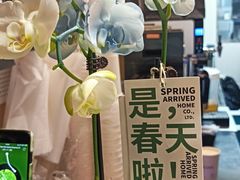 -MĀMĀCHÁ妈妈茶