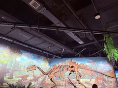 -辽宁古生物博物馆