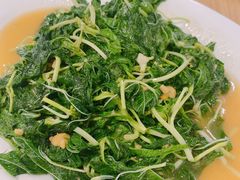 炒薯叶-长平肥姐白粥·海鲜打冷