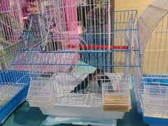 -龟与熊猫宠物公园(南坪店)