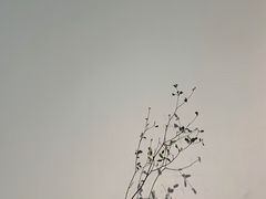 -intime coffee(芝麻街店)