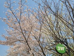 -3W咖啡(国家软件园店)