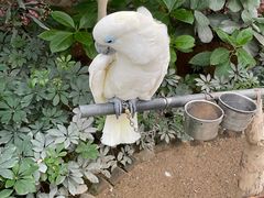 -南宫五洲植物乐园