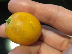 -鲜丰水果(九洲新世界花苑店)