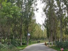 -东郊湿地公园