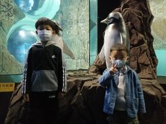 -成都浩海立方海洋公园