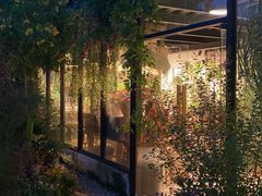 -自由生长植物工作室(深港花卉中心店)