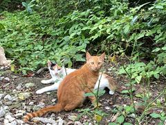 -敬亭山风景名胜区