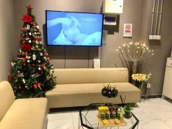 -三只熊皮肤管理中心