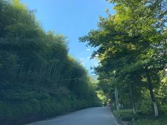 -莫干山风景区