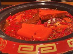 -蜀辣居鲜货老火锅(红牌楼店)