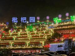-枇杷园食为鲜火锅(南山店)