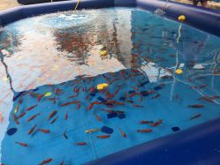 -大望京儿童游乐场