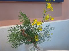 -深圳威尼斯英迪格酒店-邻芙花廊下午茶·NINFA GALLERY·蛋糕·咖啡