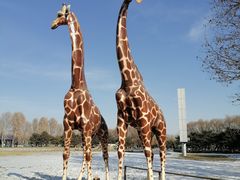 -北京野生动物园