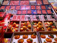 -深圳市海吉星国际农产品物流管理有限公司