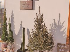 -AHAVA·Fang Baking Studio