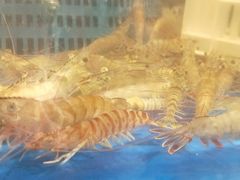 -盒马鲜生(昆城店)
