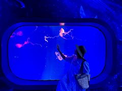 -海合安成都极地海洋公园