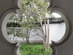 -上海醉白池公园
