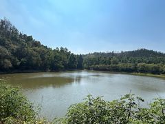 -青龙山国家森林公园