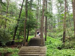 -鲁山国家森林公园