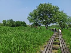 -西溪国家湿地公园