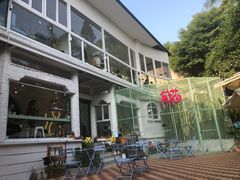 门面-有猫主题·治愈系猫咖(曾厝垵店)