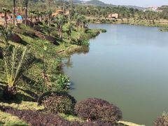 -枫香湖儿童公园