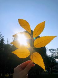 -大望京儿童游乐场