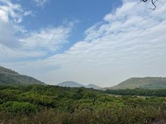 -风云岭森林公园