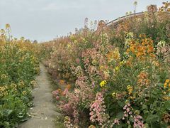 -中国天府农业博览园