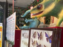 -上海大自然野生昆虫馆(东方明珠·爬宠昆虫探索中心)