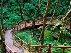 -大岭沟猕猴桃谷风景区