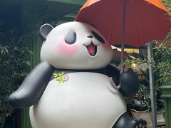 -轩客会(熊猫书店)