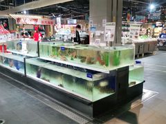 水产区-盒马鲜生(新都心店)