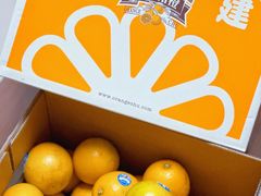 -东方鼎信农副产品交易中心